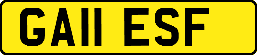 GA11ESF
