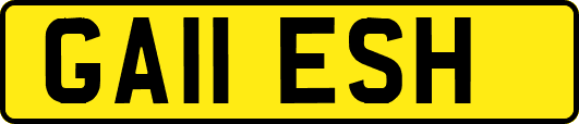 GA11ESH