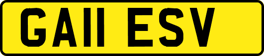 GA11ESV