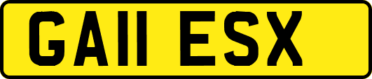 GA11ESX