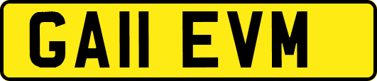 GA11EVM