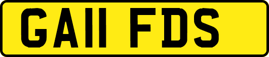 GA11FDS
