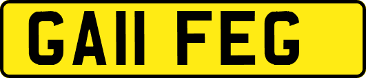 GA11FEG