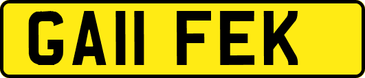 GA11FEK