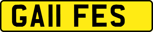 GA11FES