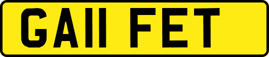 GA11FET