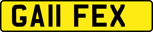 GA11FEX