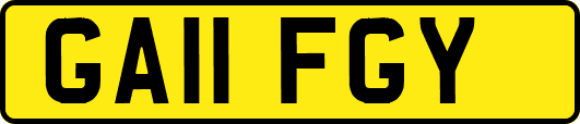 GA11FGY