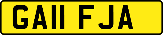 GA11FJA