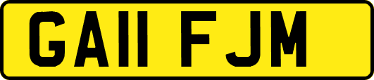 GA11FJM