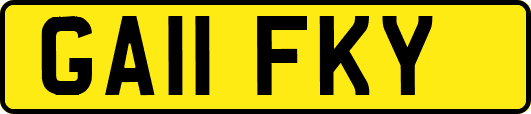 GA11FKY