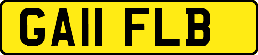 GA11FLB