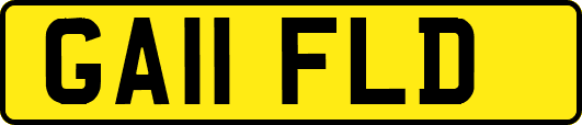 GA11FLD