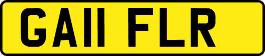 GA11FLR