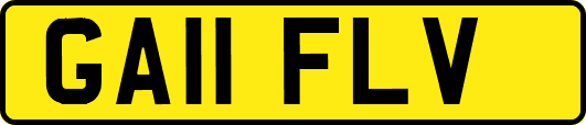 GA11FLV