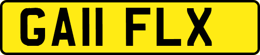 GA11FLX