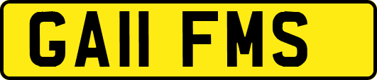 GA11FMS