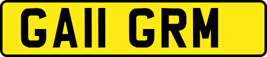 GA11GRM