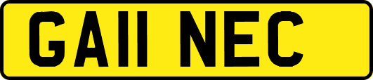 GA11NEC
