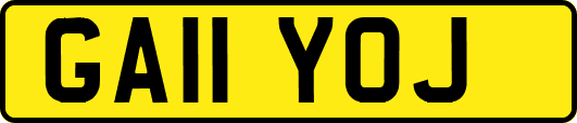 GA11YOJ