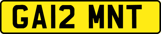 GA12MNT