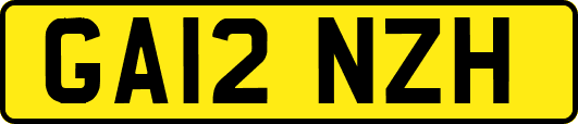 GA12NZH