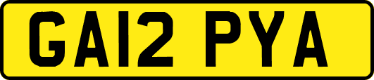 GA12PYA