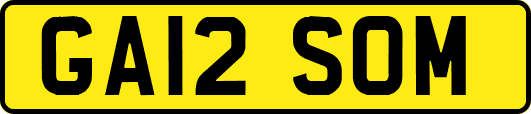GA12SOM