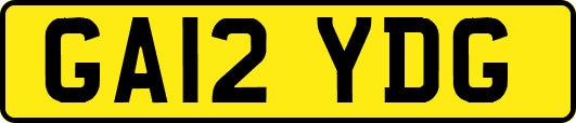 GA12YDG
