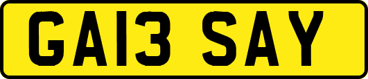 GA13SAY