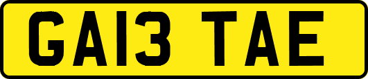 GA13TAE