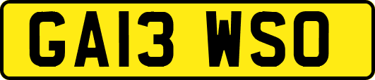 GA13WSO
