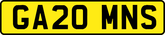 GA20MNS
