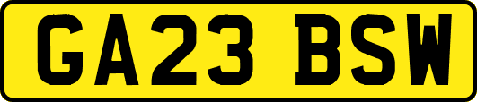 GA23BSW