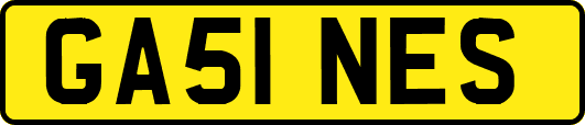 GA51NES