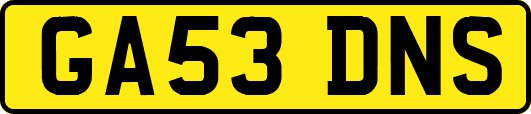 GA53DNS