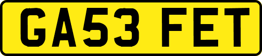 GA53FET