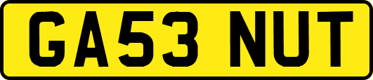 GA53NUT