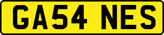 GA54NES
