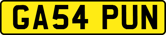 GA54PUN