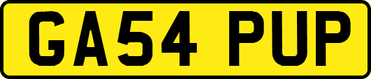 GA54PUP