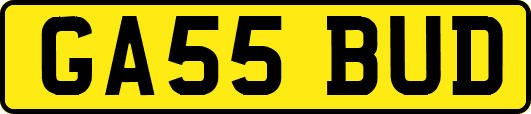 GA55BUD