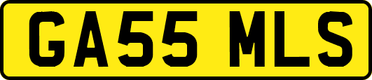 GA55MLS