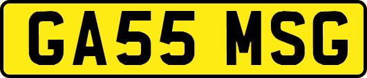 GA55MSG