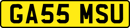 GA55MSU