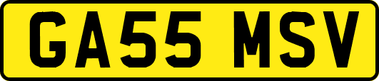 GA55MSV