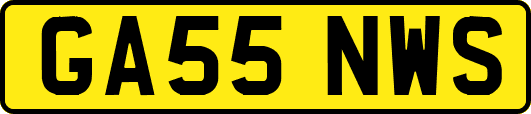 GA55NWS