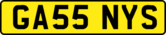 GA55NYS