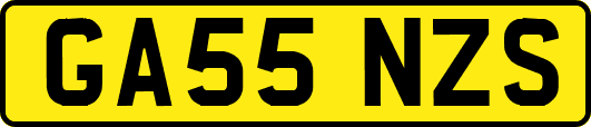 GA55NZS