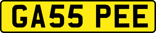 GA55PEE